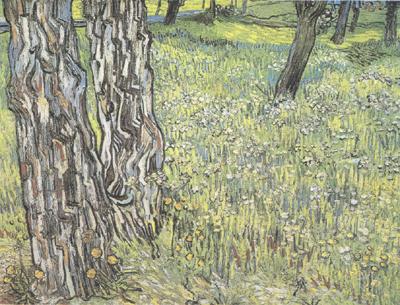 Vincent Van Gogh Pine Trees and Dandelions in the Garden of Saint-Paul Hospital (nn04) Germany oil painting art